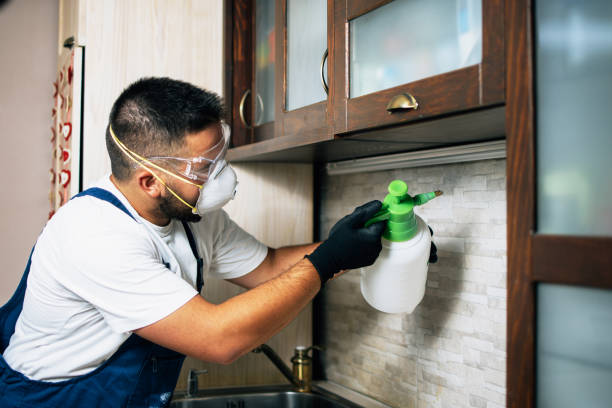 Best Bed Bug Extermination  in Hancock, MD