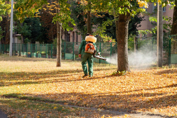 Reliable Hancock, MD Pest Control Solutions