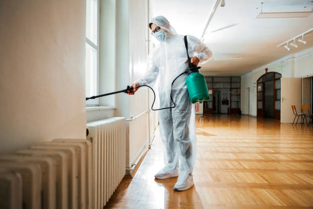 Best Flea Control Services  in Hancock, MD
