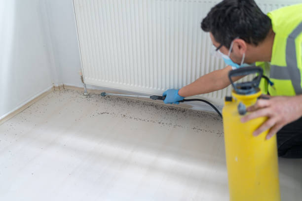Best Pest Inspection Near Me  in Hancock, MD